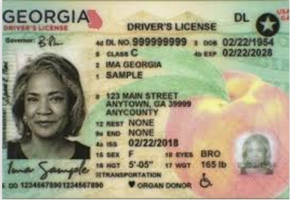 Driver's License sample